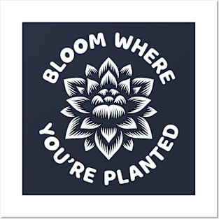 Bloom Where You're Planted Posters and Art